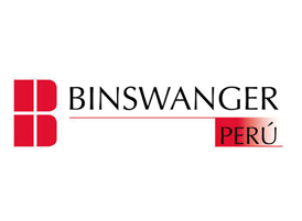 BINSWANGER